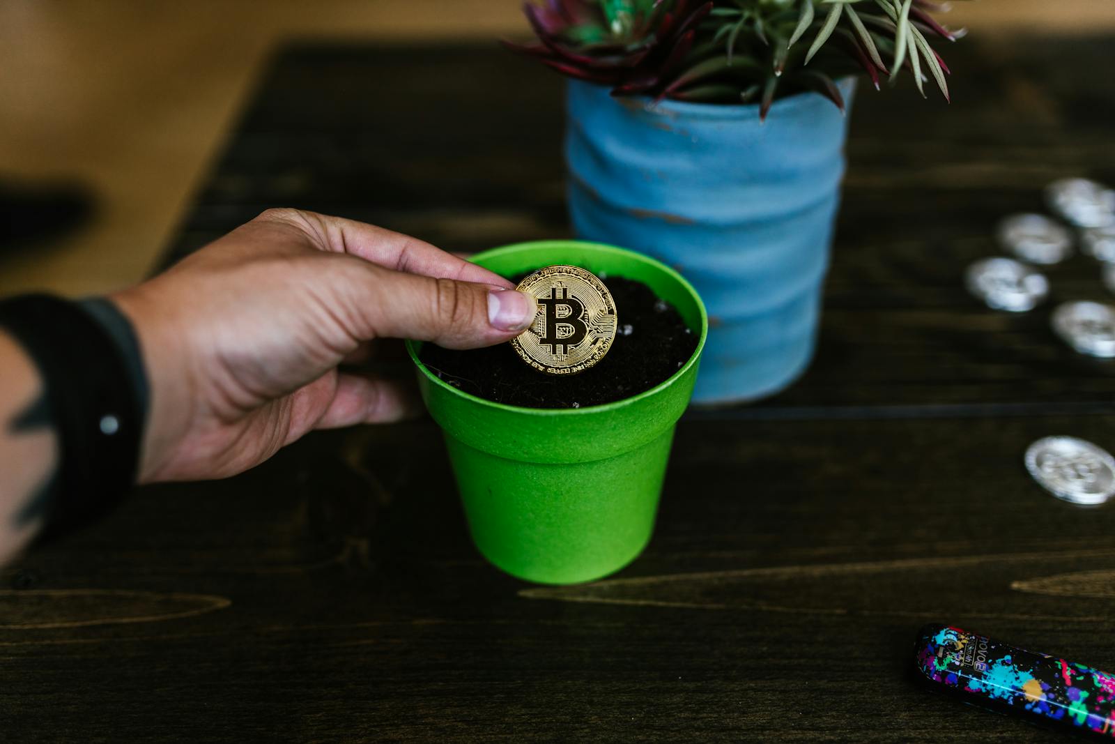 A Person Holding a Gold Coin